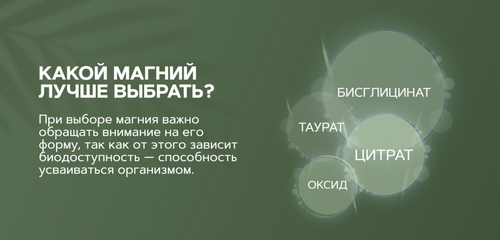 2.jpg 2.jpg